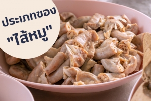ประเภทของไส้หมู