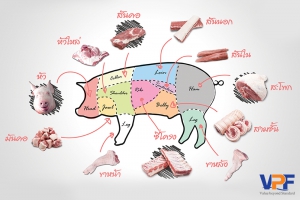 เนื้อหมูส่วนต่างๆ หมูแต่ละส่วน